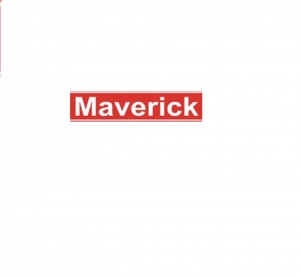 Maverick pochłaniacz wilgoci